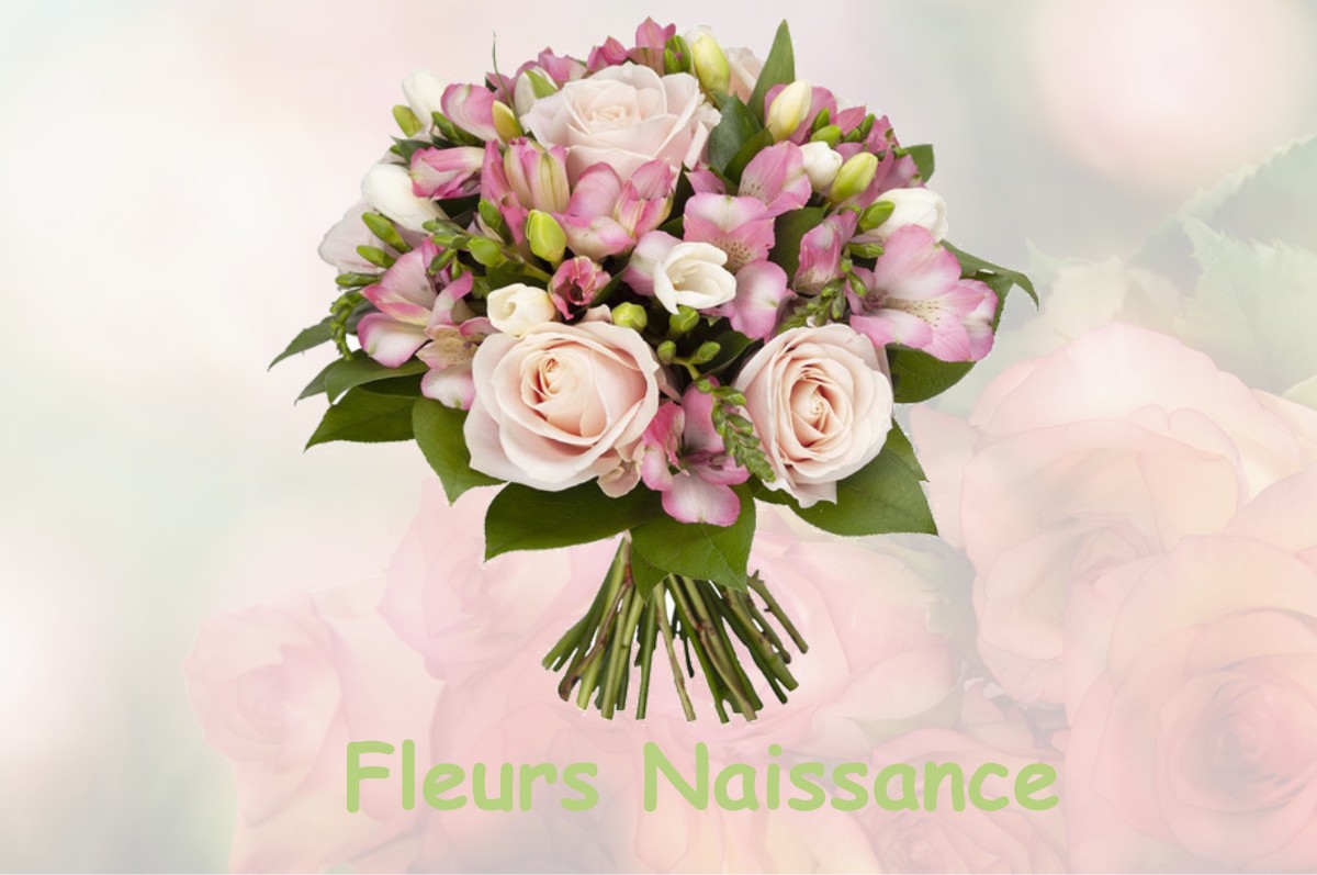 fleurs naissance TAILLEBOIS