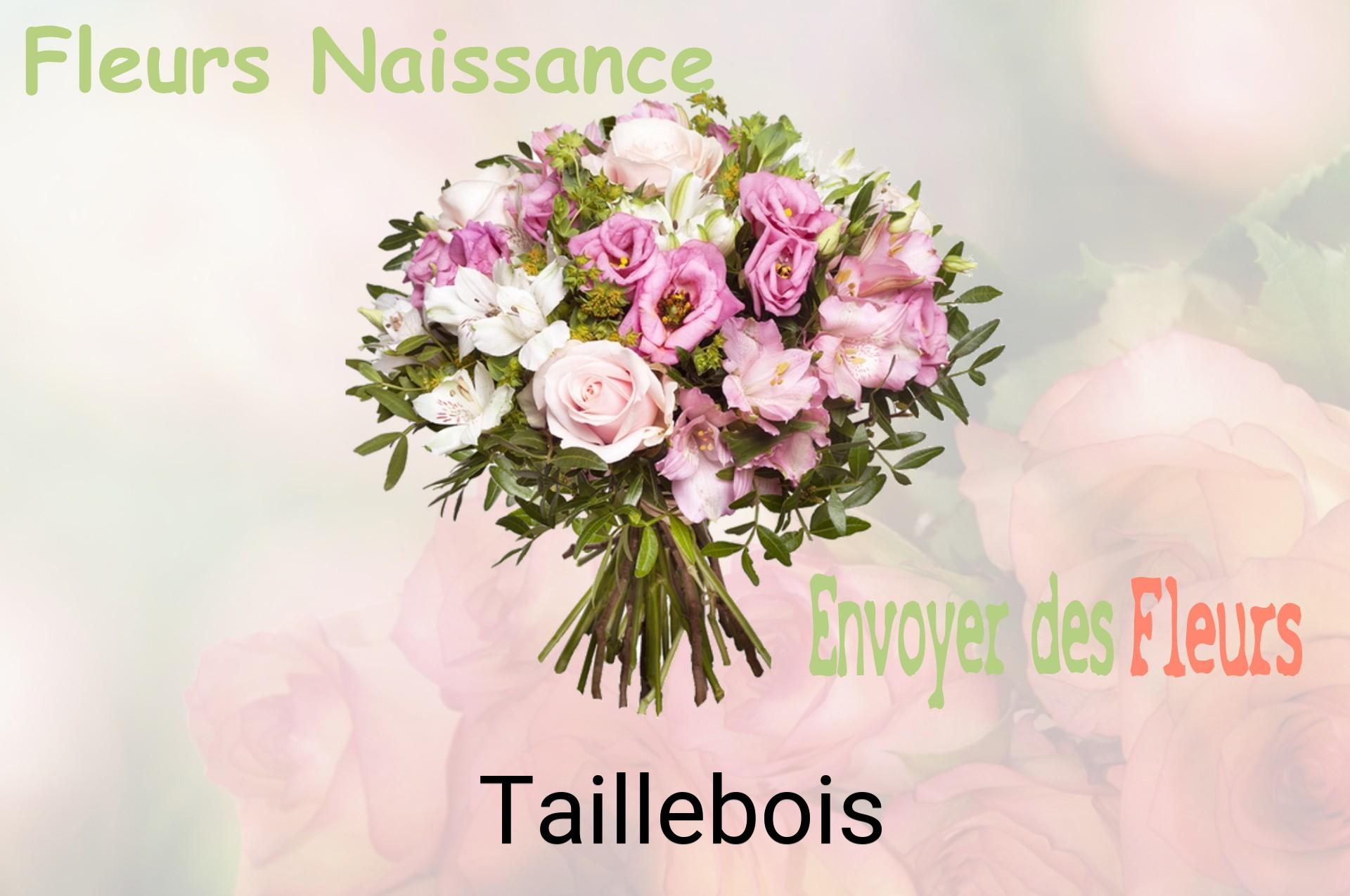 Bouquet de fleurs de naissance livré à Taillebois