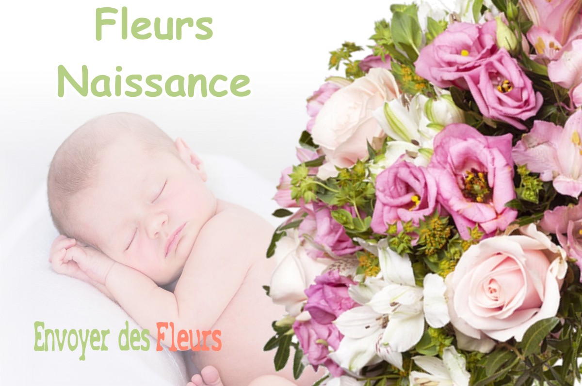 lIVRAISON FLEURS NAISSANCE à TAILLEBOIS